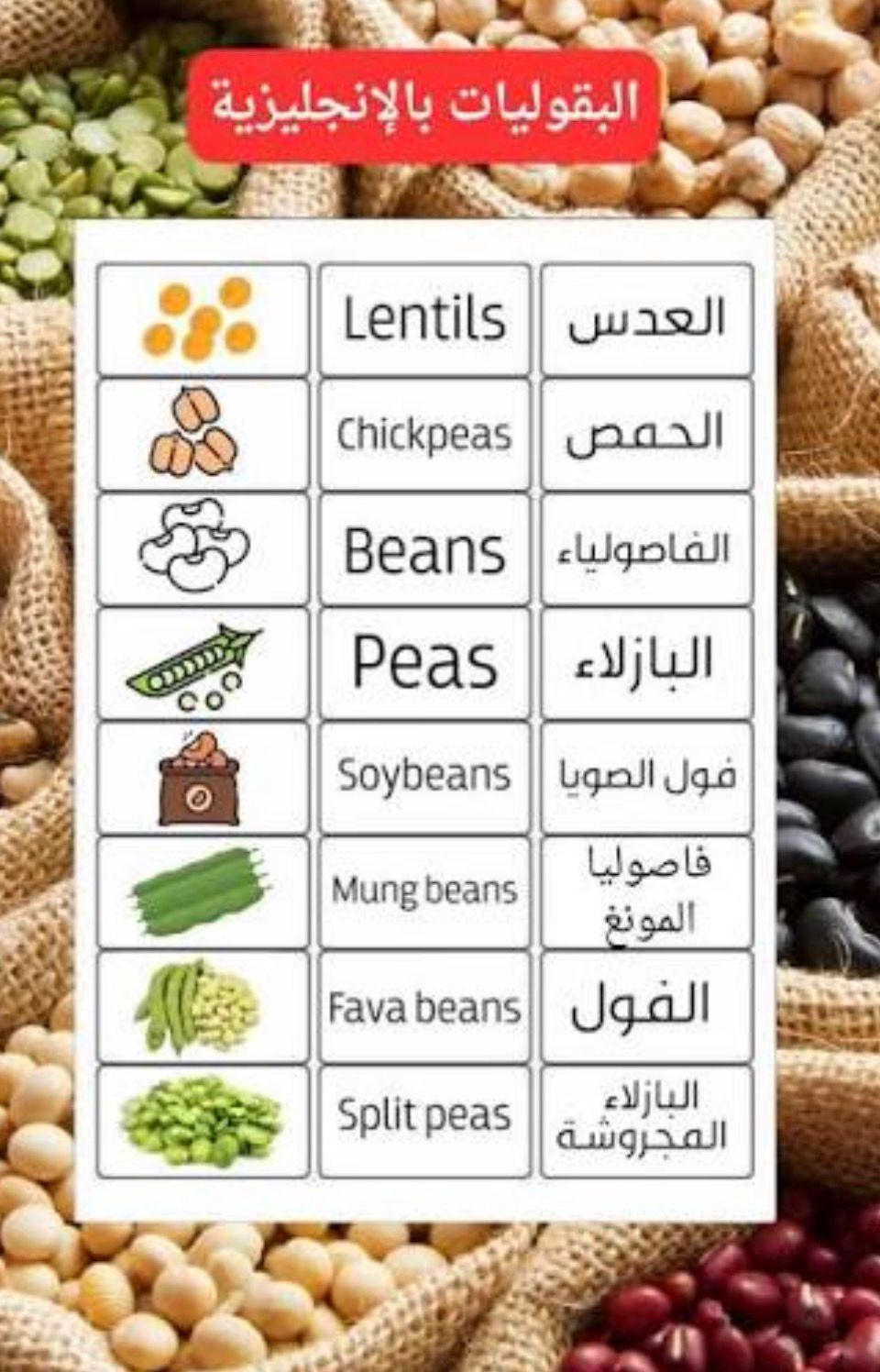 البقوليات بالعربي والإنجليزي